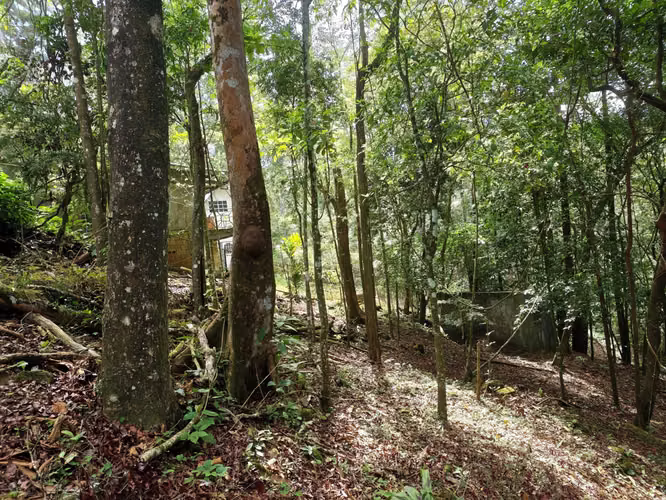 VENTA DE TERRENOS –LAS.NUBES CERRO AZUL LAS NUBES