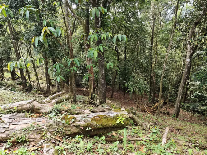 VENTA DE TERRENOS –LAS.NUBES CERRO AZUL LAS NUBES