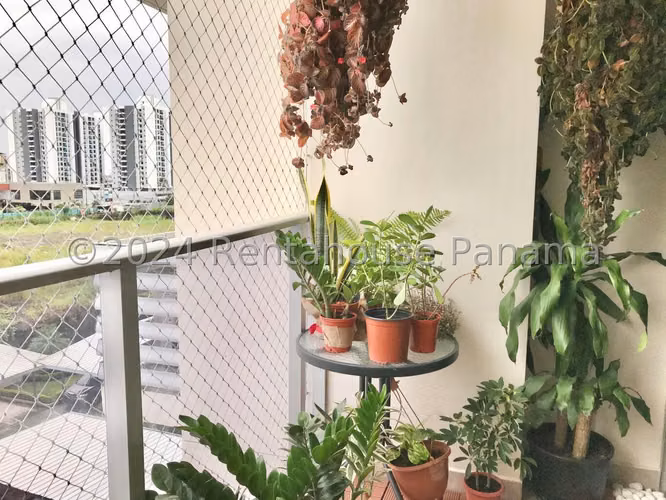 Venta de Apartamento en Condado del Rey Ph Rokas EC - Imagen 4