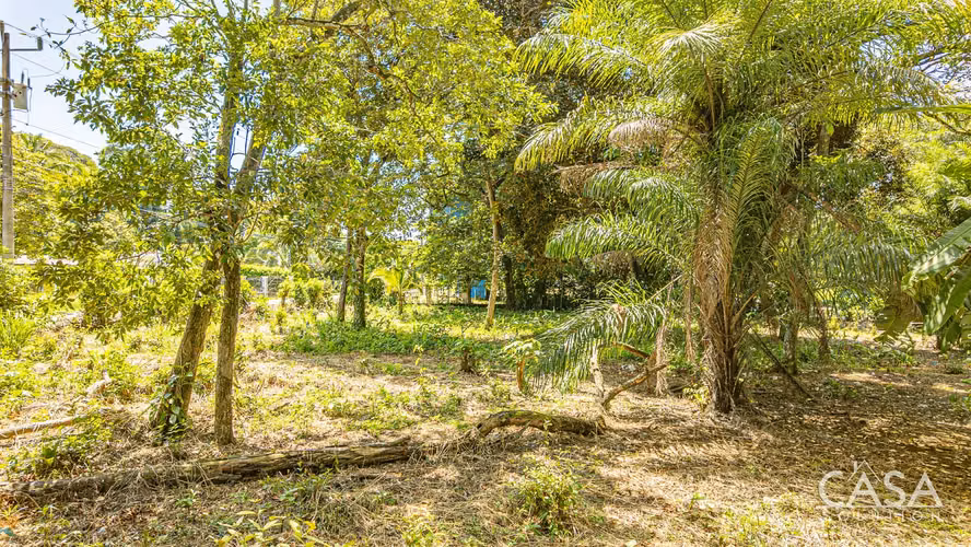 Lote Plano en Venta en Dolega, Chiriquí – 1,330.80 m² con Acceso por Carretera - Imagen 5