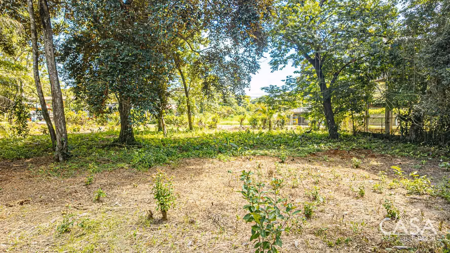 Lote Plano en Venta en Dolega, Chiriquí – 1,330.80 m² con Acceso por Carretera - Imagen 8