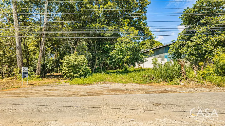 Lote Plano en Venta en Dolega, Chiriquí – 1,330.80 m² con Acceso por Carretera - Imagen 2