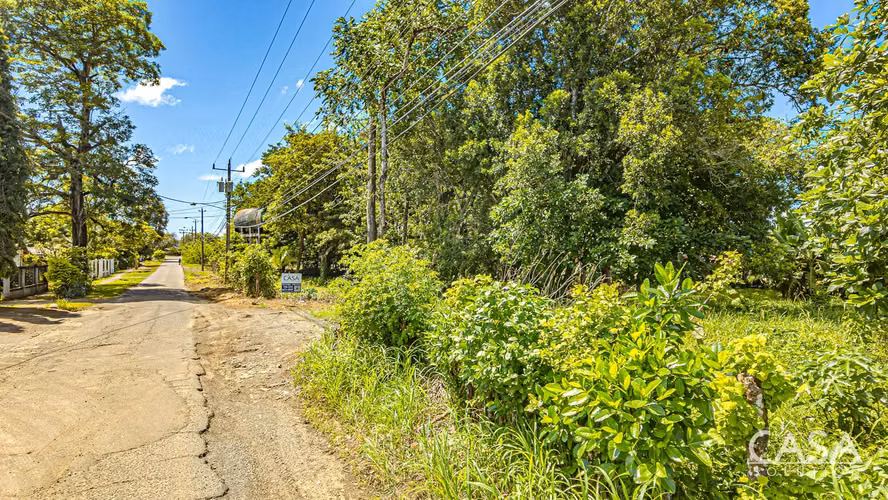 Lote Plano en Venta en Dolega, Chiriquí – 1,330.80 m² con Acceso por Carretera - Imagen 3