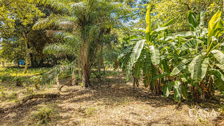 Lote Plano en Venta en Dolega, Chiriquí – 1,330.80 m² con Acceso por Carretera - Imagen 7