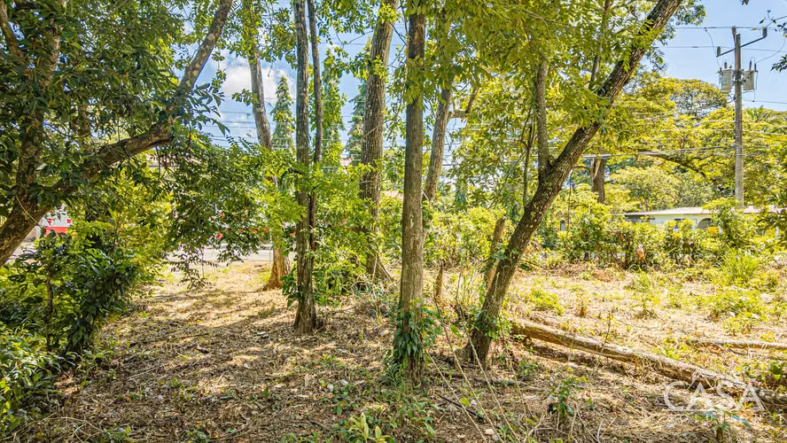 Lote Plano en Venta en Dolega, Chiriquí – 1,330.80 m² con Acceso por Carretera - Imagen 6