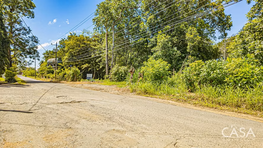 Lote Plano en Venta en Dolega, Chiriquí – 1,330.80 m² con Acceso por Carretera - Imagen 13