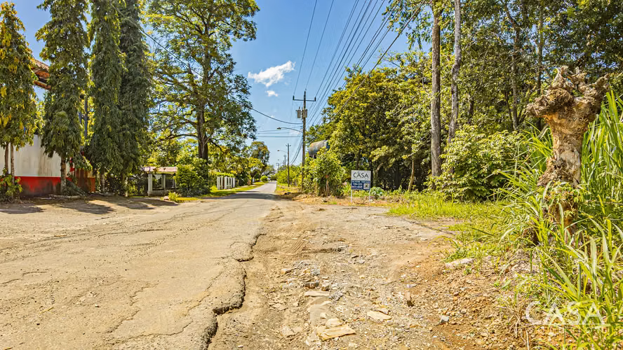 Lote Plano en Venta en Dolega, Chiriquí – 1,330.80 m² con Acceso por Carretera - Imagen 4