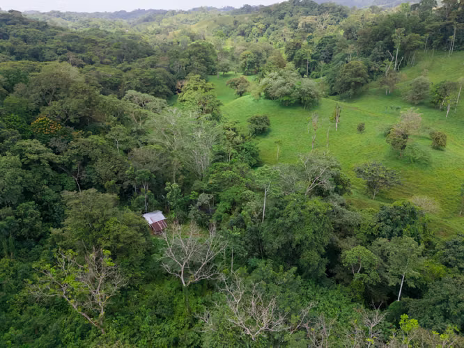 168 HAS TITULADO TERRENO EN CUTEVILLA $150,000 - Imagen 8