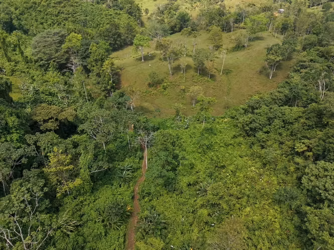 168 HAS TITULADO TERRENO EN CUTEVILLA $150,000 - Imagen 10