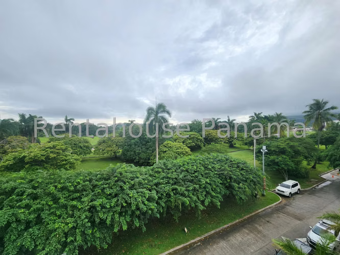 VIVA YA! EN PANAMA PACIFICO VENTA PH SOLEO ESM. SOLO CLIENTE DIRECTO. - Imagen 8