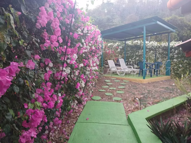 Venta de Negocio en Taboga TABOGA INN SN