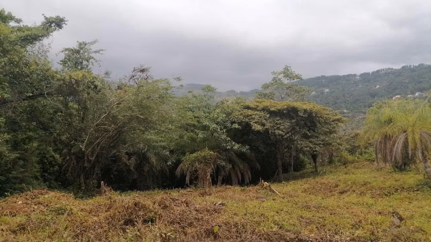ALTOS DE MARÍA 1827 mts2 planos sin obstrucción vista - Imagen 5