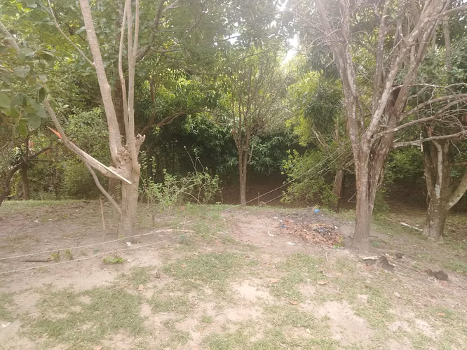 Casa con una recamara, baño, cocina y portal  cerca del Machetazo Coronado - Imagen 9