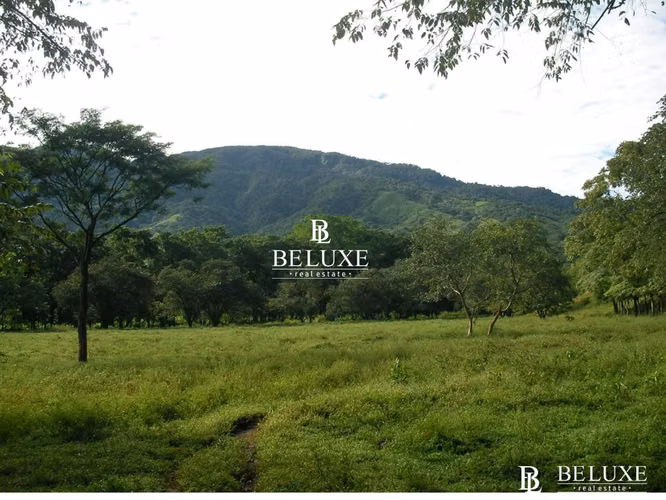 VENTA DE FINCA EN MARIATOS, VERAGUAS (6)