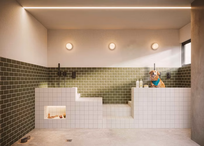 VIVE EN COCO DEL MAR EN CONSTRUCCIÓN - Imagen 12
