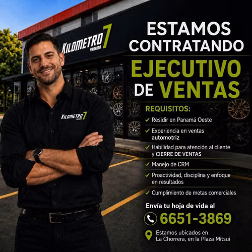 Ejecutivo de Ventas