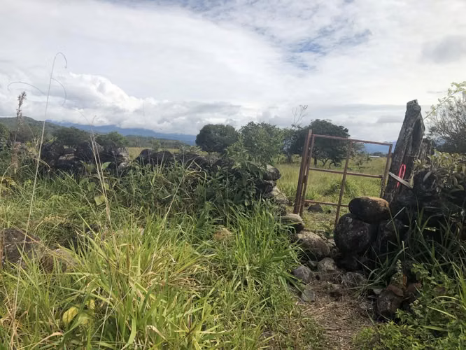 VENDO Terreno Ubicado en Avenida Ppal hacia Boquete 8300m2 - Imagen 11