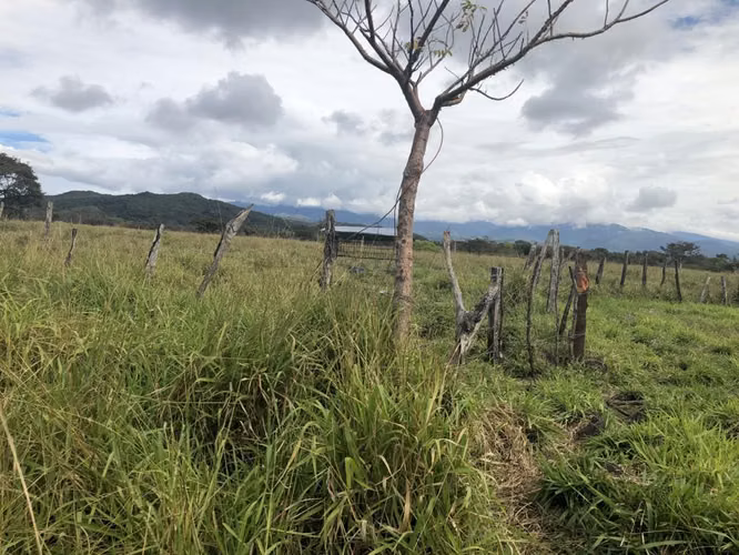 VENDO Terreno Ubicado en Avenida Ppal hacia Boquete 8300m2 - Imagen 16