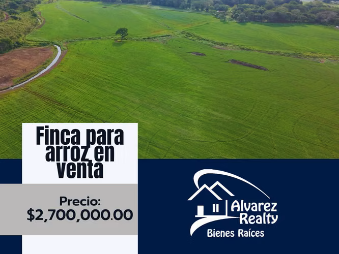 ID# F-0161 Finca en venta para siembra de arroz