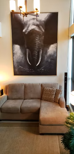 ALQUILER DE APARTAMENTO DE 1 RECAMARA  LOFT EN EL CANGREJO - Imagen 8