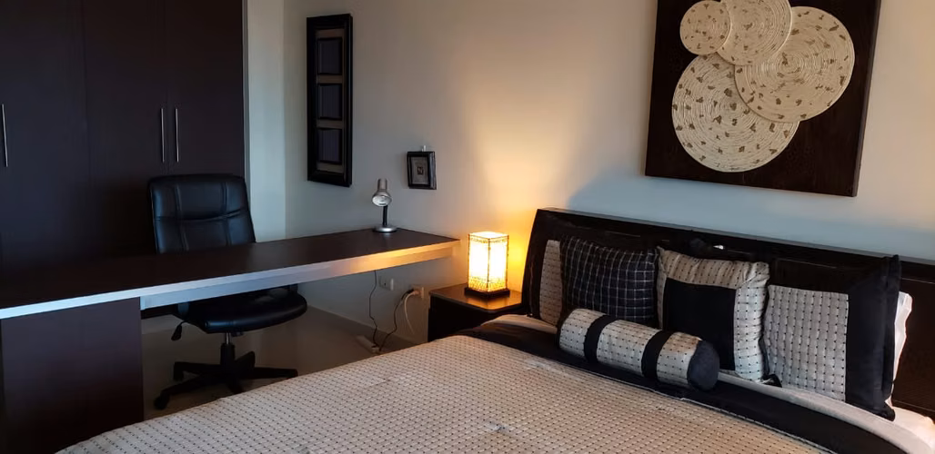 ALQUILER DE APARTAMENTO DE 1 RECAMARA  LOFT EN EL CANGREJO - Imagen 14