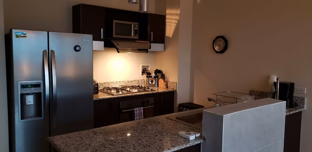 ALQUILER DE APARTAMENTO DE 1 RECAMARA  LOFT EN EL CANGREJO - Imagen 3