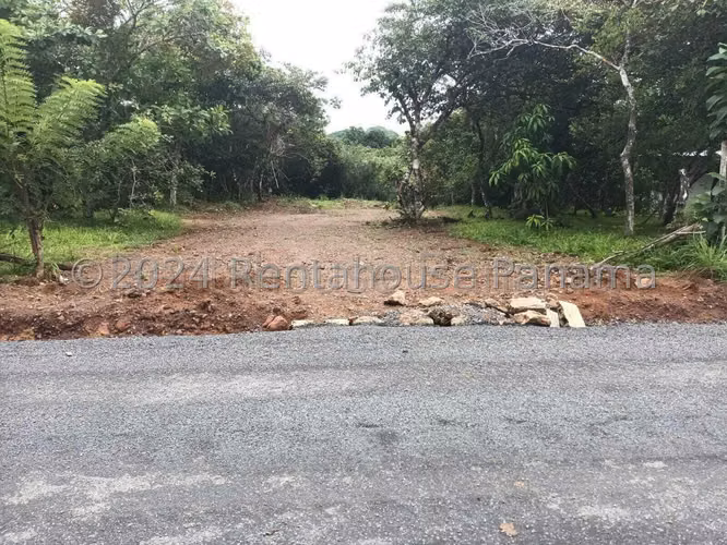 Land for Sale in Penonome YDU