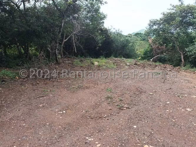 Se Vende Terreno en Penonome YDU - Imagen 3