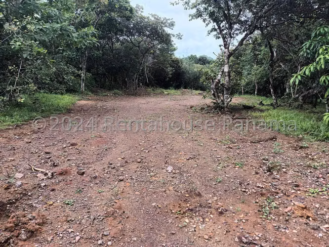 Se Vende Terreno en Penonome YDU - Imagen 6