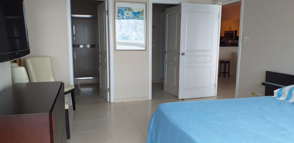 VENDO VISTA AL MAR!! AMOBLADO, 1 RECAMARA. AVENIDA BALBOA - Imagen 13