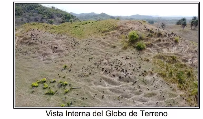 Venta de Finca ganadera de 25 hectáreas en Ocú, Herrera