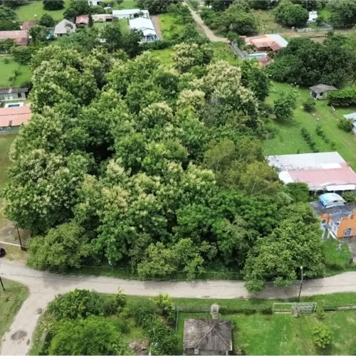 Terreno en Gorgona