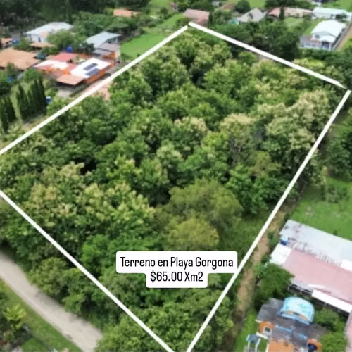 Terreno en Gorgona