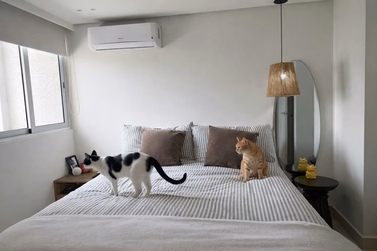 ALQUILER APARTAMENTO CERCA COSTA DEL ESTE LB - Imagen 3