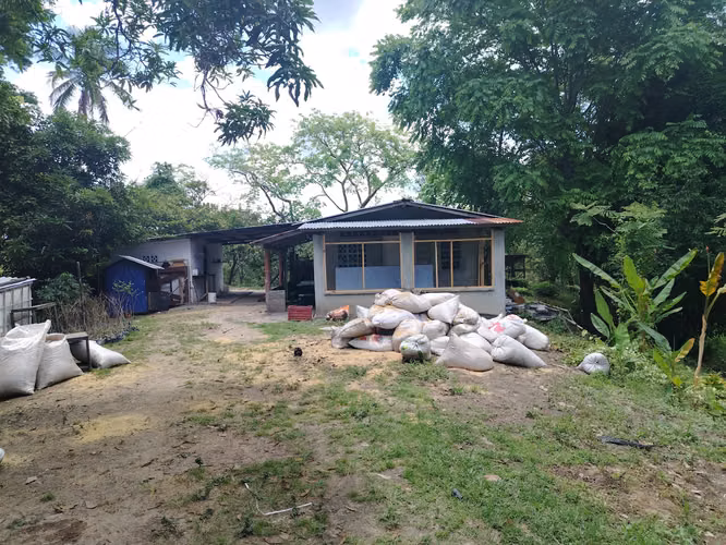 Finca grande para desarrollar aprovechando el nuevo corredor de playas - Imagen 7