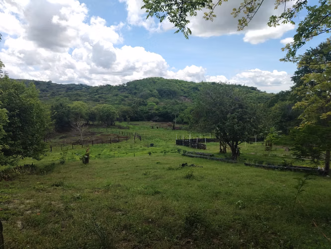 Finca grande para desarrollar aprovechando el nuevo corredor de playas - Imagen 8