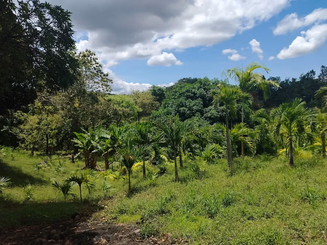 Finca grande para desarrollar aprovechando el nuevo corredor de playas - Imagen 5