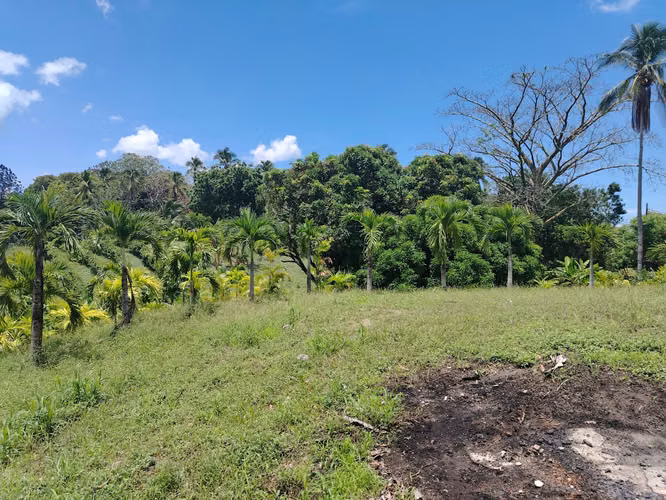 Finca grande para desarrollar aprovechando el nuevo corredor de playas - Imagen 4