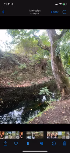 Finca grande para desarrollar aprovechando el nuevo corredor de playas - Imagen 11