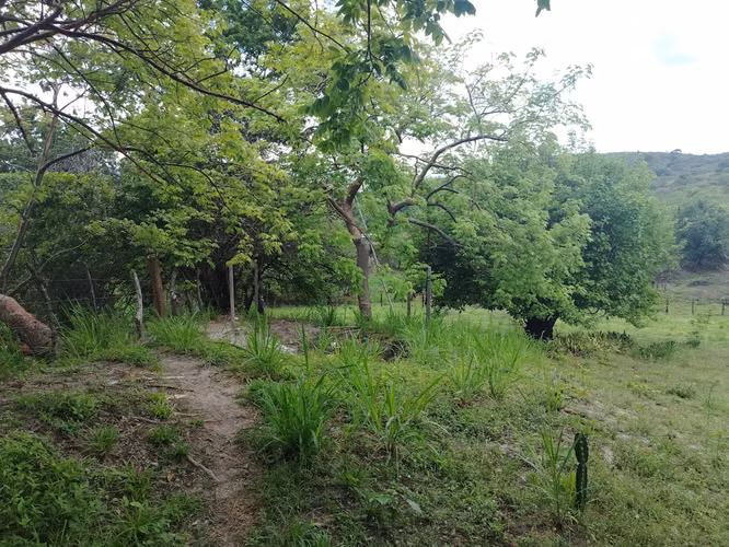 Finca grande para desarrollar aprovechando el nuevo corredor de playas - Imagen 9