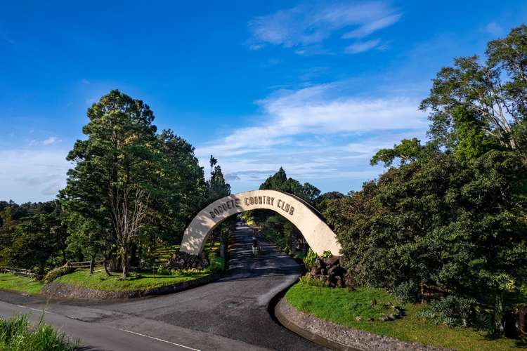  **Invierte en el encanto de Boquete** 