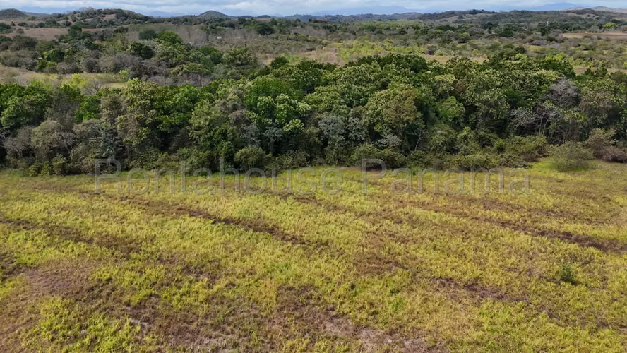Se Vende Terreno en Santiago DPA26-6909