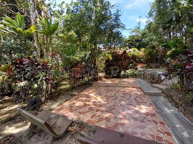 Venta de Casa en Cerro Azul MPS26*7194 - Imagen 9