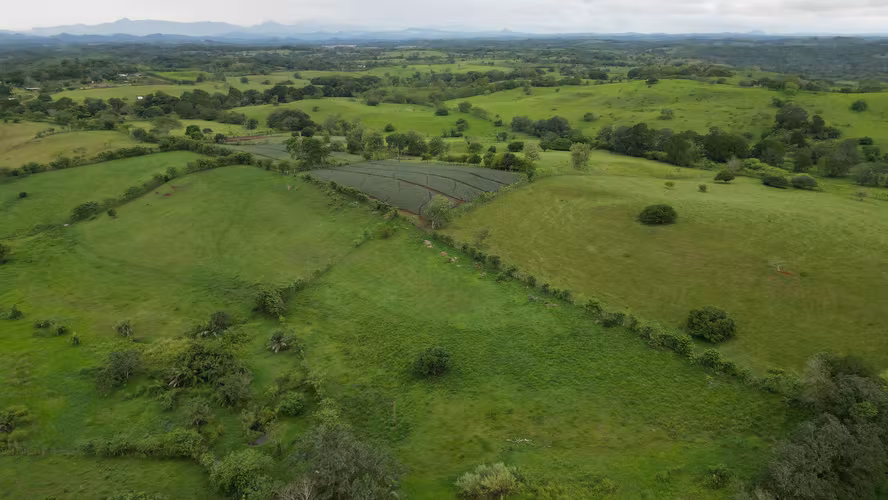 51 HECTÁREAS DE TERRENO! $3,571,715 - Imagen 18
