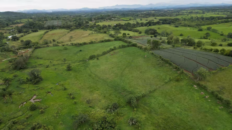 51 HECTÁREAS DE TERRENO! $3,571,715 - Imagen 9