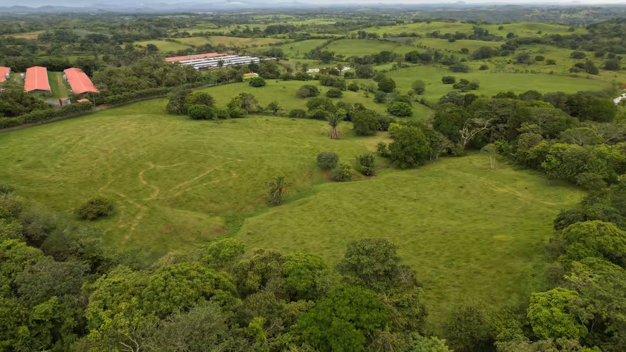 51 HECTÁREAS DE TERRENO! $3,571,715 - Imagen 6