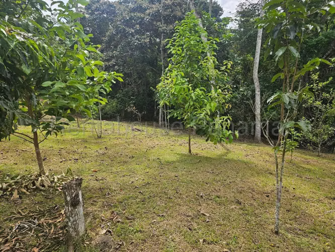 VENTA DE CASA EN CAPIRA DDB27-48