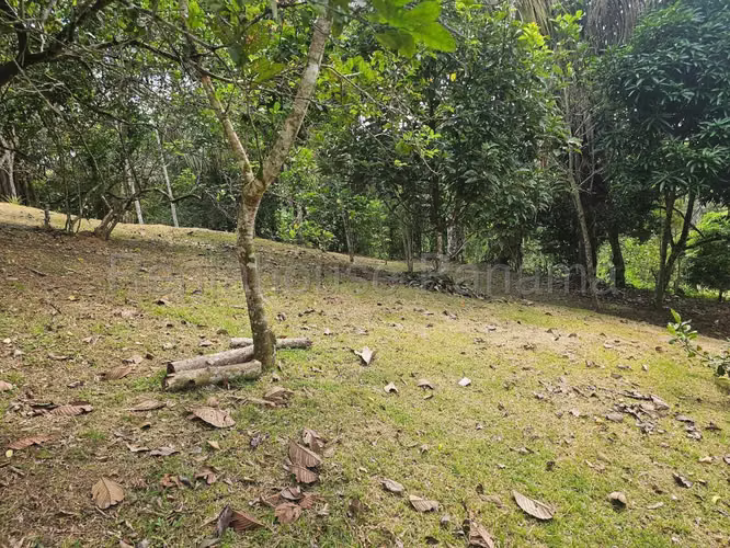 VENTA DE CASA EN CAPIRA DDB27-48