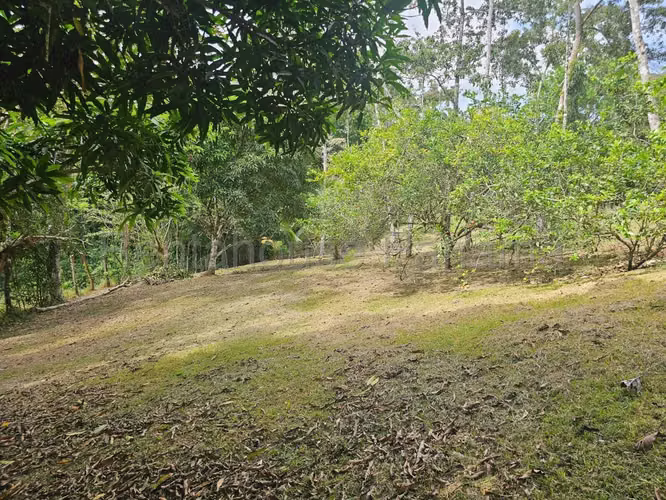 VENTA DE CASA EN CAPIRA DDB27-48