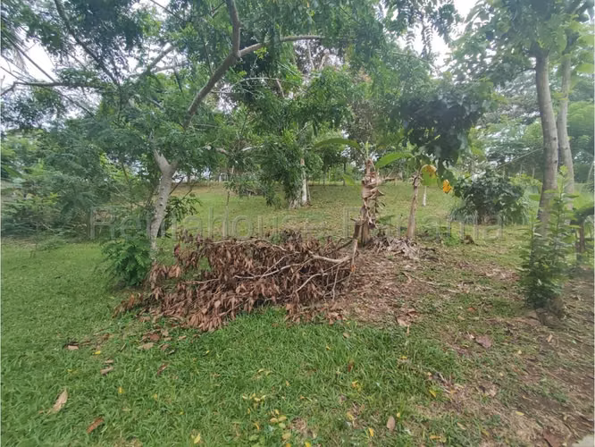 VENTA DE CASA EN CAPIRA DDB27-48